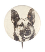 EARLY 1930s CLASSIC RIN TIN TIN BUTTON FROM HAKE COLLECTION & CPB.