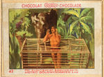 THE ADVENTURES OF TARZAN COMPLETE BELGIAN CHOCOLATE PICTURE CARD ALBUM.