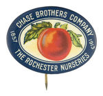 CHOICE COLOR OVAL FOR 1913 "CHASE BROTHERS/ROCHESTER NURSERIES" BUTTON.