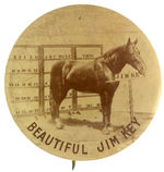 “JIM KEY” SPELLING AND COUNTING HORSE BUTTON LIKELY FROM ST. LOUIS 1904 EXPO.