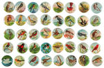COMPLETE SET OF 40 BUTTONS PICTURING BIRDS.