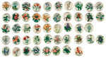 STATE FLOWERS COMPLETE SET OF 48 BUTTONS.