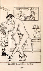 “MEMORIES OF AN HOTEL MAN” EROTIC STORYBOOK WITH POPEYE AND MOON MULLINS CONTENT.