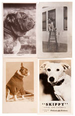 PUPPIES AND DOGS LOT OF 17 REAL PHOTO POSTCARDS.