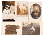 PUPPIES AND DOGS LOT OF 17 REAL PHOTO POSTCARDS.
