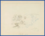 MICKEY IN ARABIA STORYBOARD FEATURING MINNIE MOUSE & PEGLEG PETE.