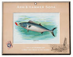 "ARM & HAMMER" FISH CARD SERIES ADVERTISING SIGN.