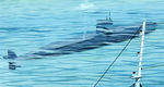 PYRO COLD WAR "RUSSIAN (MISSILE TRACKING) FISHING TRAWLER" SPY SHIP ORIGINAL MODEL KIT BOX LID ART.