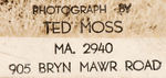 1948 HOMESTEAD GRAYS NEGRO LEAGUE TEAM PHOTO WITH HOF MEMBER BUCK LEONARD.