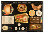 "WINSLOW HEALTH AND HYGIENE SERIES" EARLY GRAPHIC EYE POSTER.