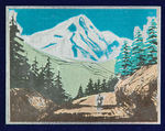 “AMERICAN MARVELS OF NATURE” CARD SETS FROM GREEN DUCK BUTTON CO. ARCHIVE.