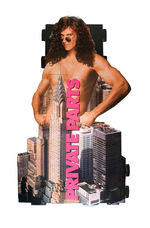 HOWARD STERN “PRIVATE PARTS” THEATRICAL STANDEE.